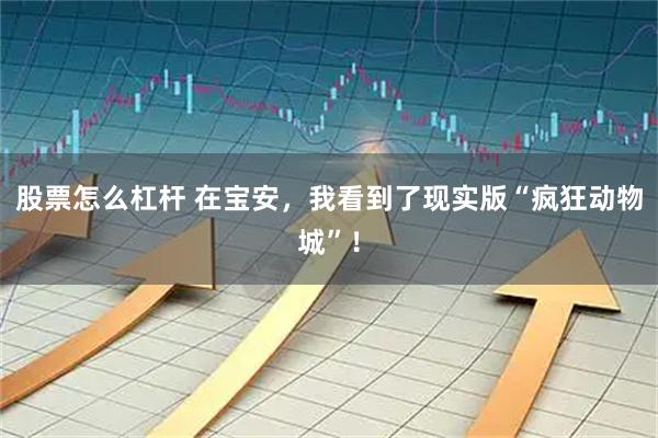 股票怎么杠杆 在宝安,我看到了现实版“疯狂动物城”!